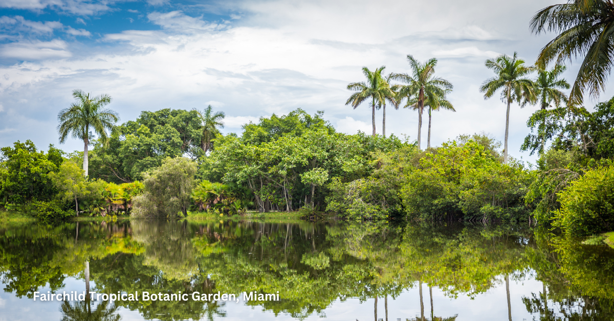 Mother’s Day 2025 in Miami : Celebrate with Culture, Creativity, and Experiences She’ll Love