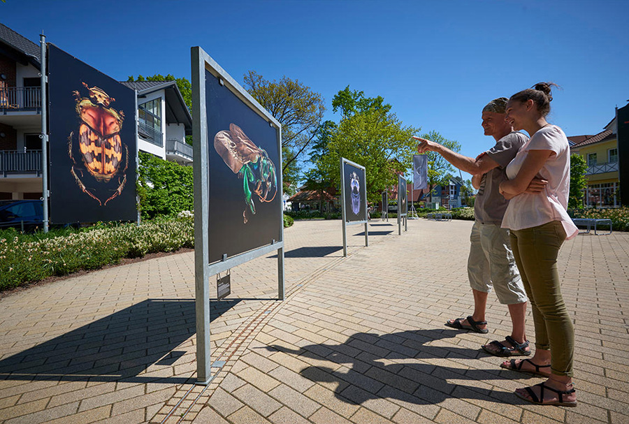 Flamingo Gardens presents Sean Kenney’s Nature POP®!