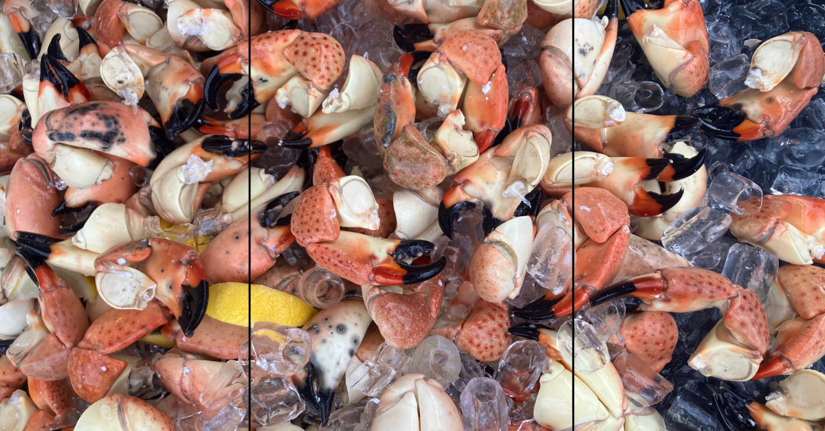 Scrumptious Showdown by the Sea: South Beach Seafood Festival Served Up a Flavorful Finale