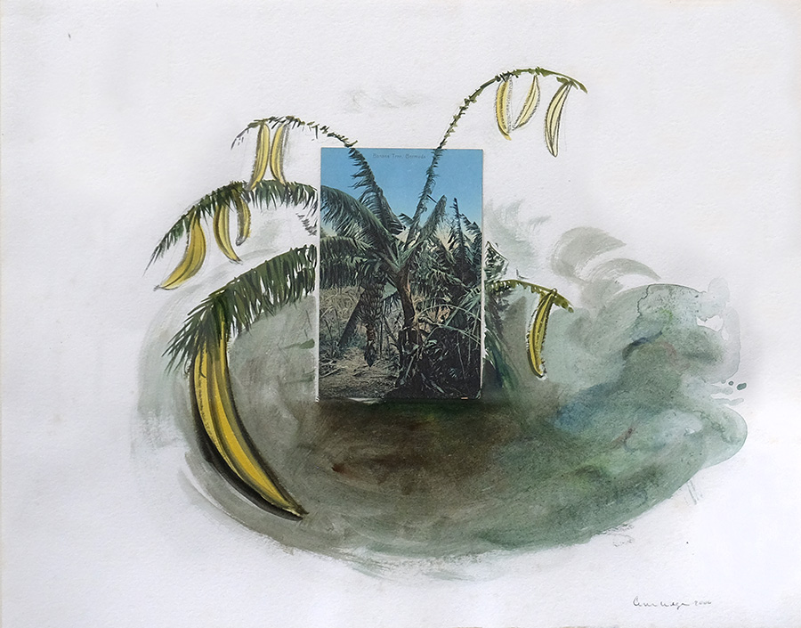 WILLIAM WEGMAN Around Bermuda