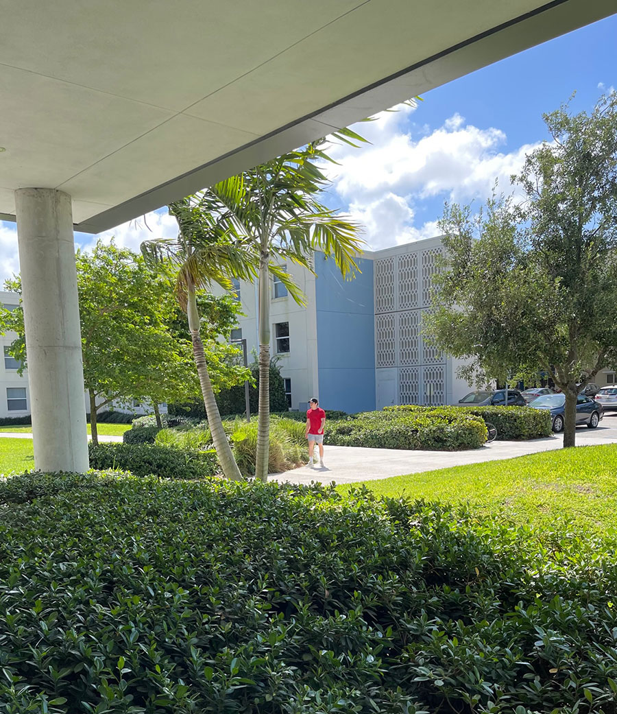 Art Deco, MiMo, Mimosas & More in Miami, Miami Beach, and The Palm Beaches