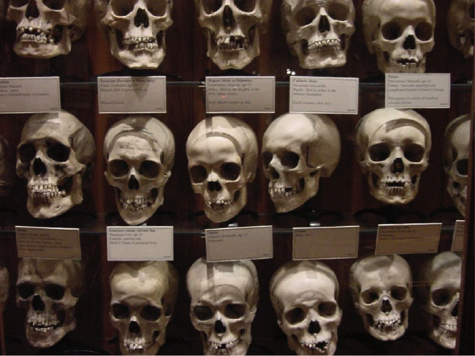 Strange Museums Around the World