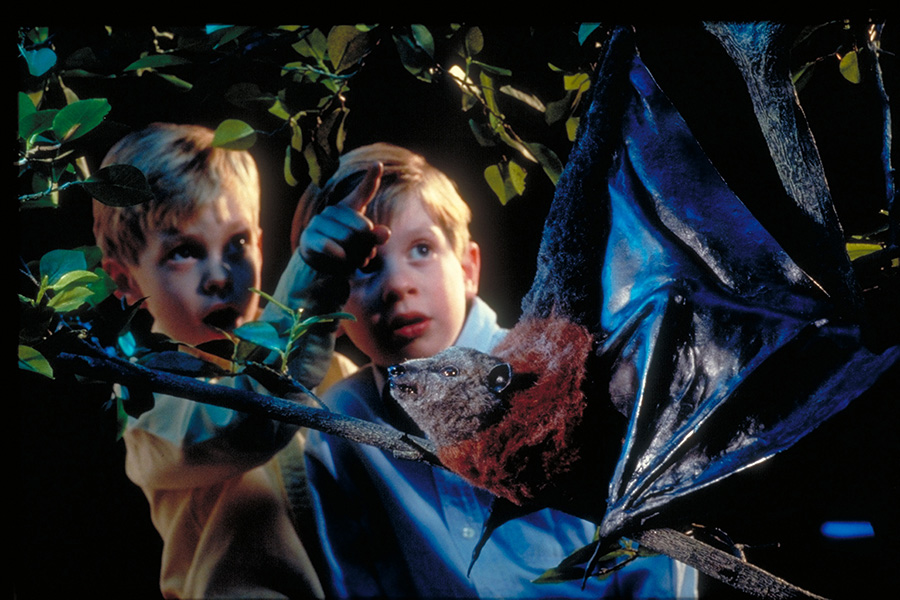 Flamingo Gardens presents Sean Kenney’s Nature POP®!
