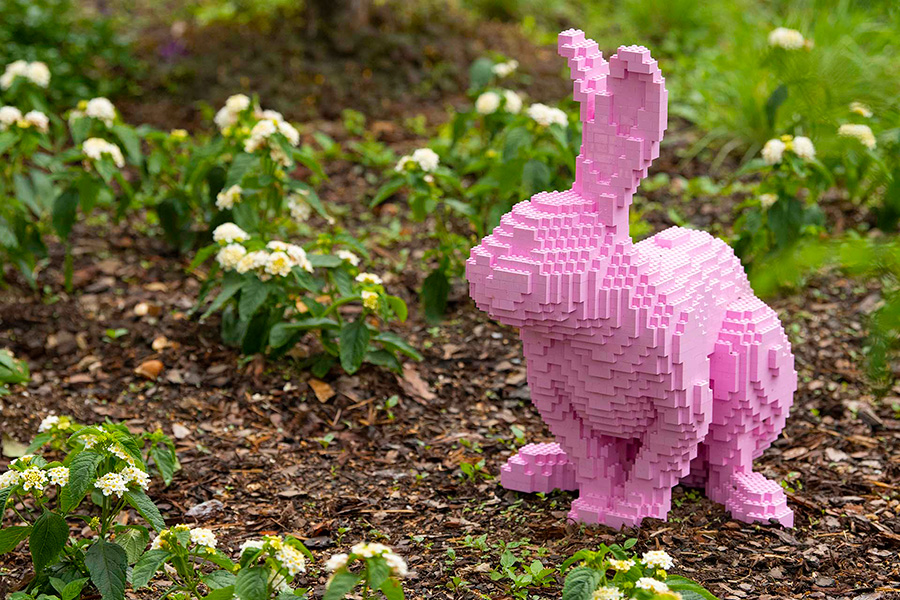 Flamingo Gardens presents Sean Kenney’s Nature POP®!