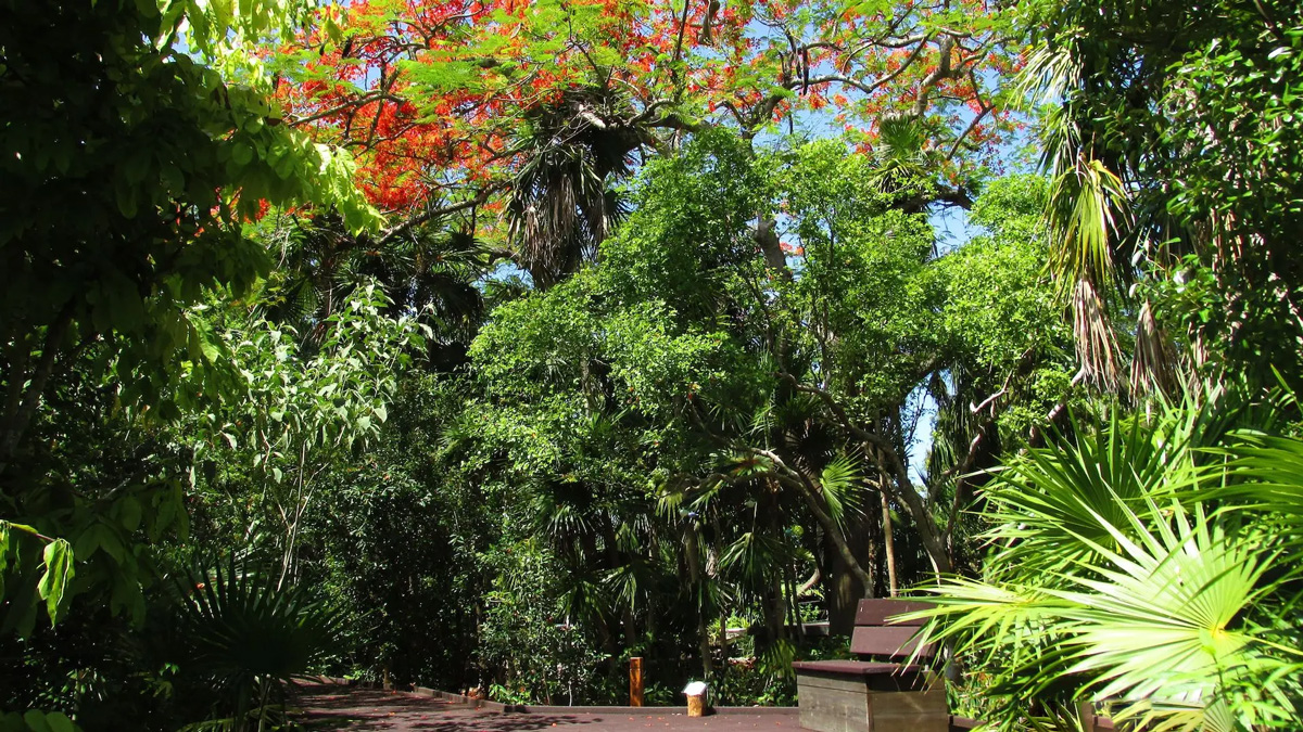 Top 10 Fun Things to Do in the Florida Keys