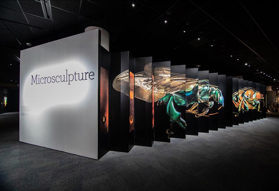 Flamingo Gardens presents Sean Kenney’s Nature POP®!