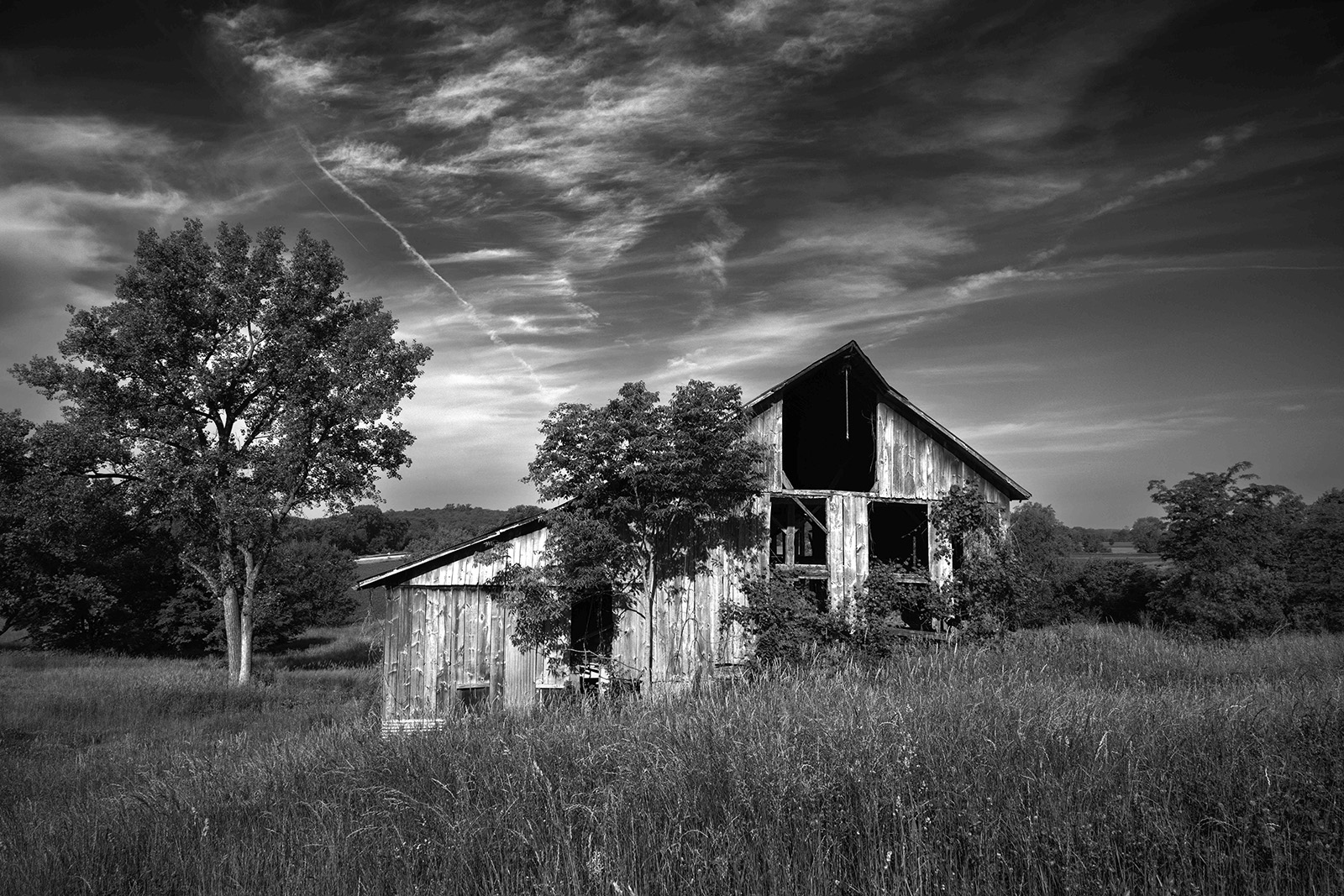 PALM BEACH PHOTOGRAPHIC CENTRE Announces Winners of 26th Annual Members' Show