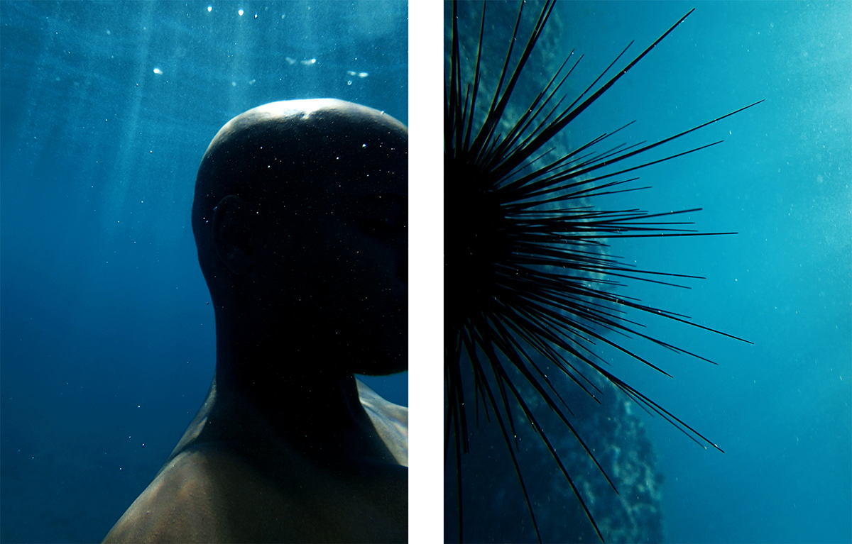 New installation brings the Everglades to Miami Art Week at AIRIE Art + Environment Summit