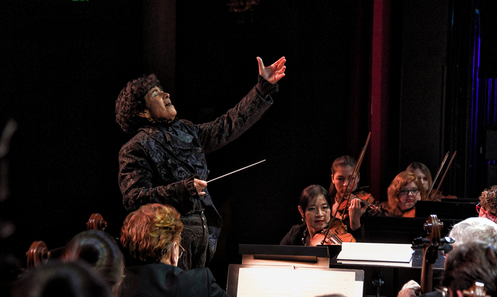 SOUTH FLORIDA SYMPHONY ORCHESTRA (SFSO) BRIDGES RECENT STATE OF FLORIDA FUNDING CUTS FOR THE ARTS THROUGH TRAVEL