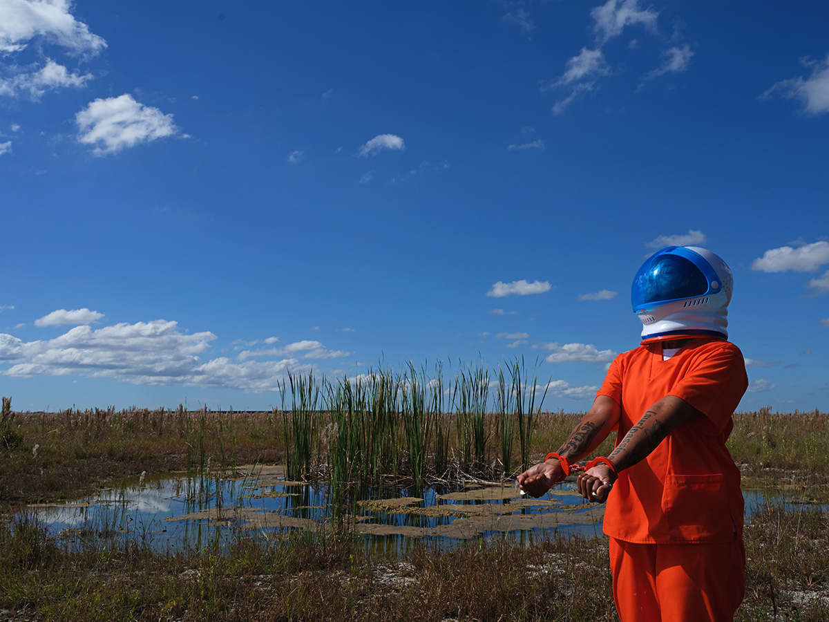 New installation brings the Everglades to Miami Art Week at AIRIE Art + Environment Summit